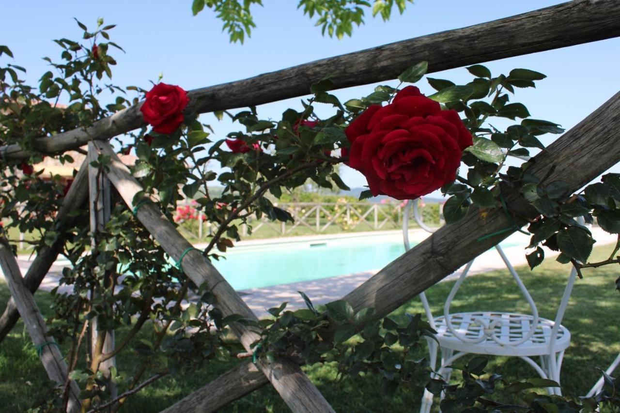 Agriturismo La Paciarella Villa Campiglia dʼOrcia Eksteriør billede