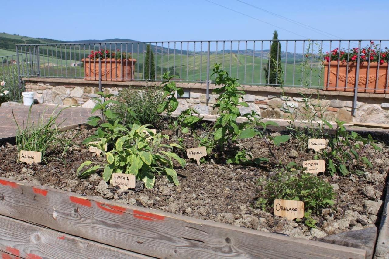 Agriturismo La Paciarella Villa Campiglia dʼOrcia Eksteriør billede