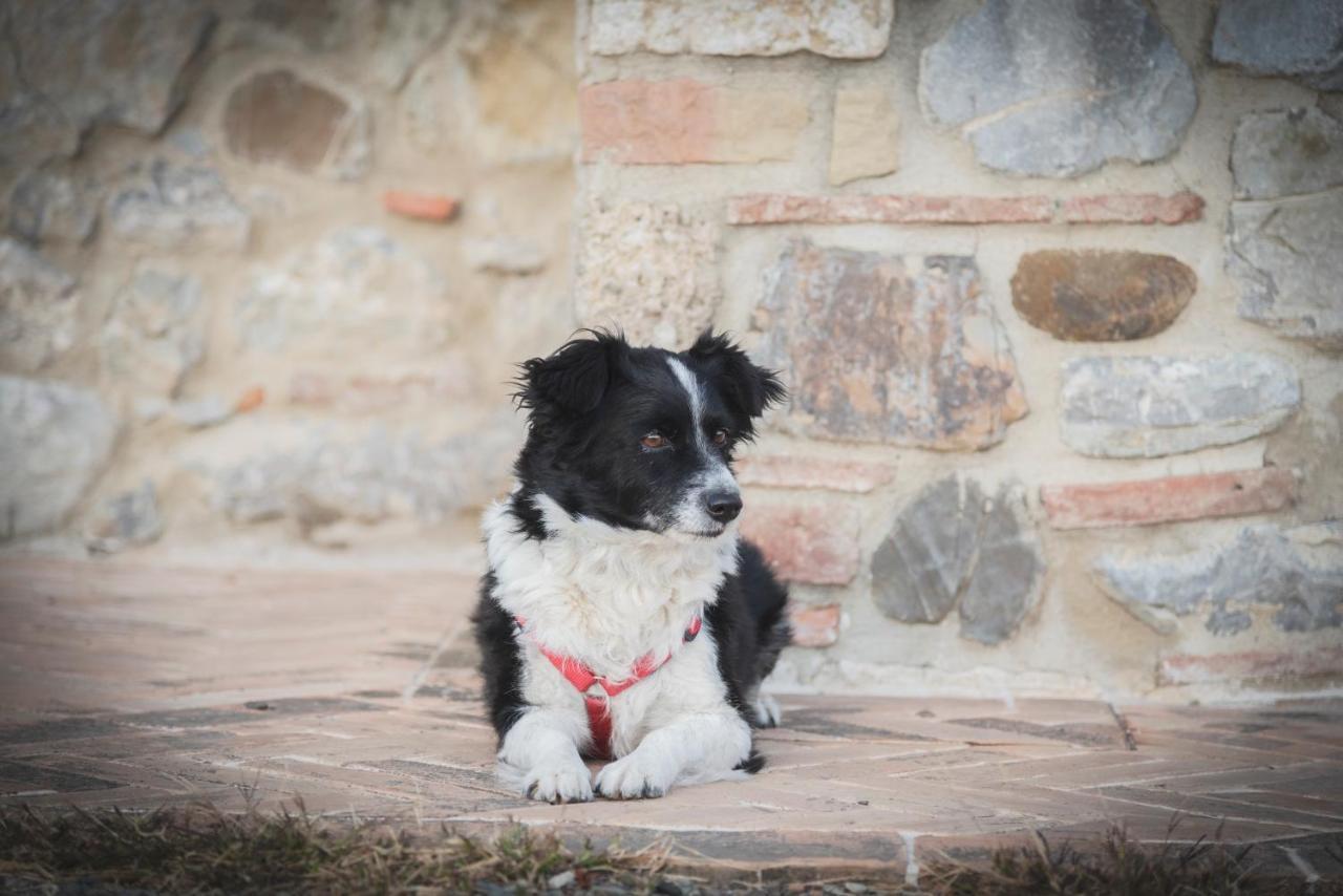 Agriturismo La Paciarella Villa Campiglia dʼOrcia Eksteriør billede