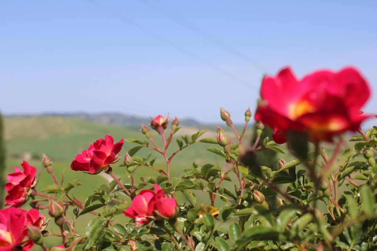 Agriturismo La Paciarella Villa Campiglia dʼOrcia Eksteriør billede