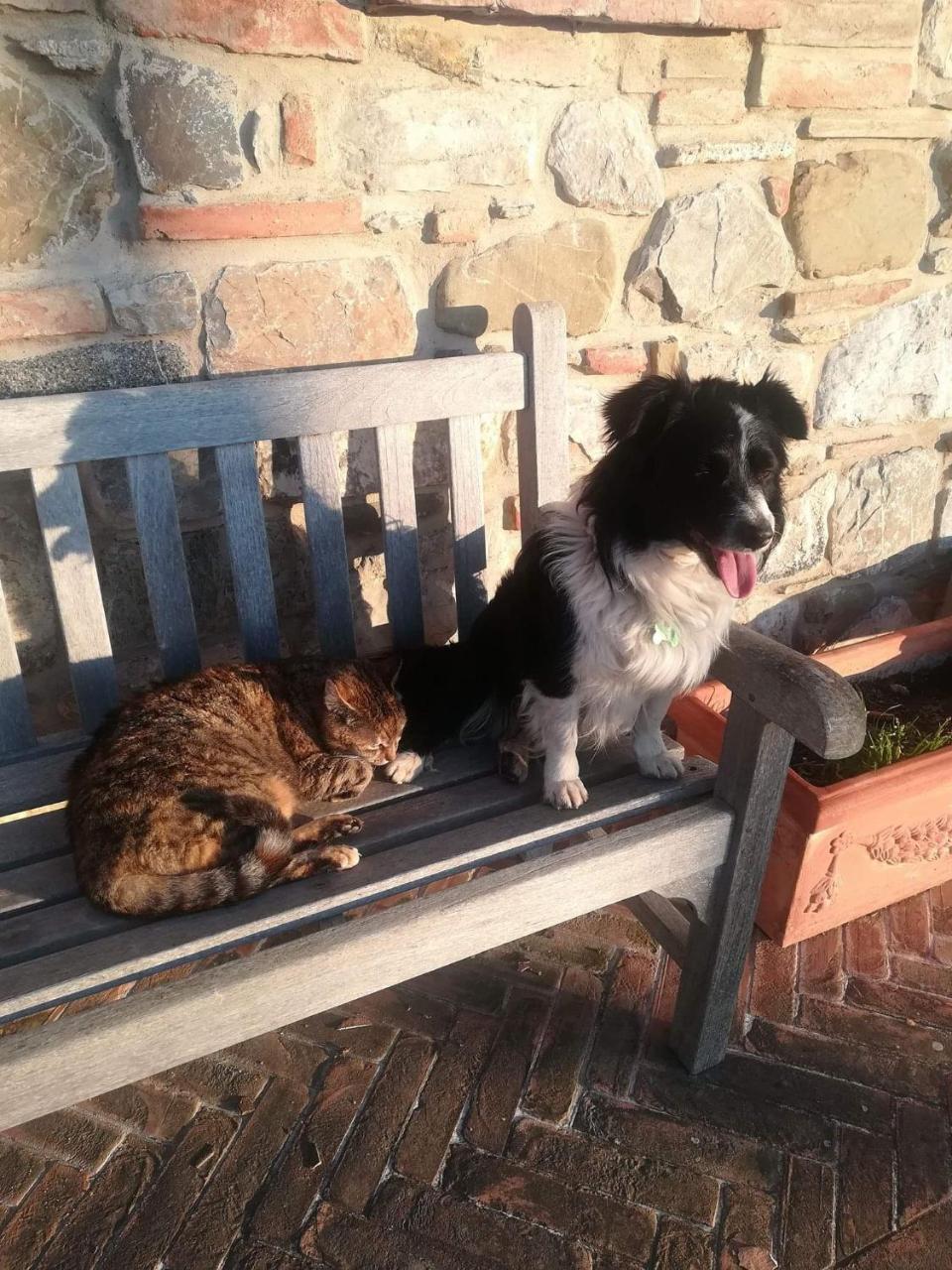 Agriturismo La Paciarella Villa Campiglia dʼOrcia Eksteriør billede