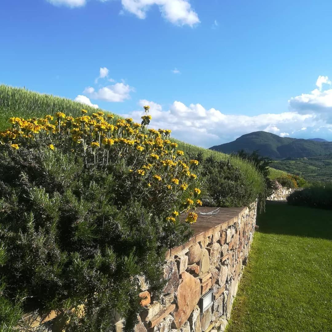 Agriturismo La Paciarella Villa Campiglia dʼOrcia Eksteriør billede